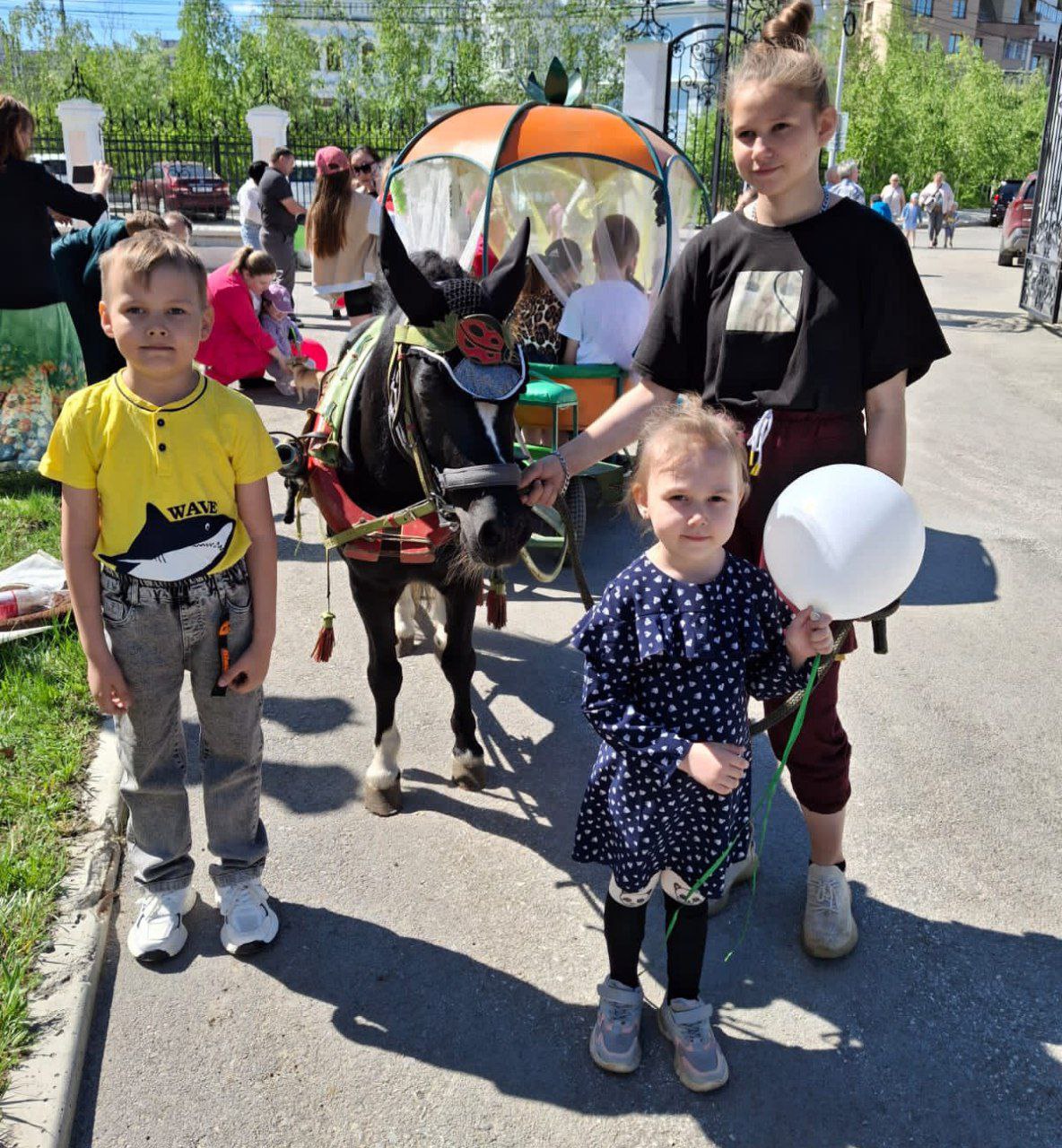 photo_2025-06-09_12-21-46