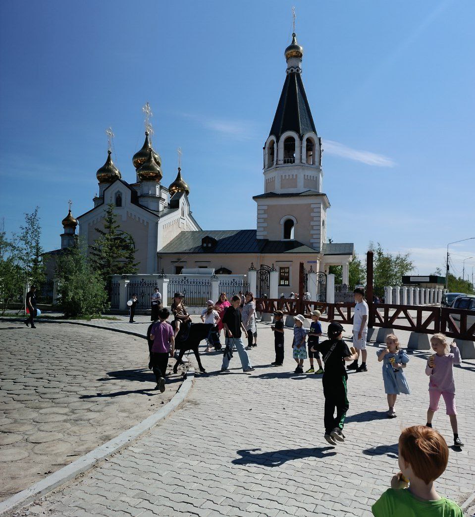 photo_2025-06-09_12-21-48