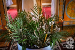 IMG_6619