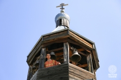 IMG_1479