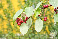 photo_2025-08-29_17-47-38 (2)