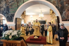 photo_2026-02-15_21-26-12