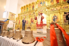 Андрей Сорокин-071