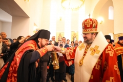 Андрей Сорокин-082